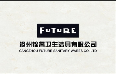 中国 CangZhou Future Sanitaryware Co.,Ltd.